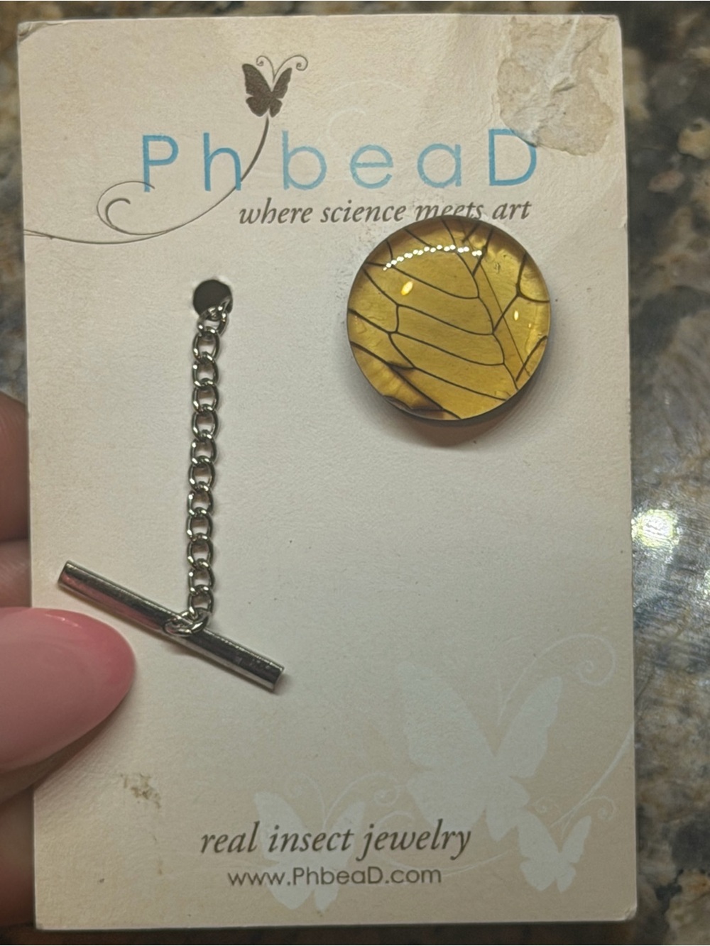 NWT PhBeaD Real Insect Jewelry Cicada Round Yellow Glass Pin with silver chain